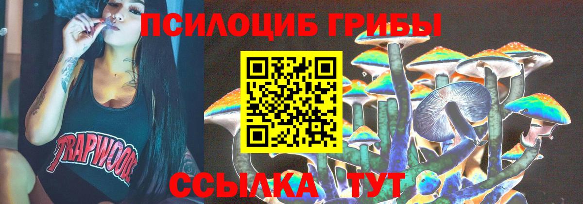 Сибай  Псилоцибиновые грибы Psilocybe  Вход с VPN 